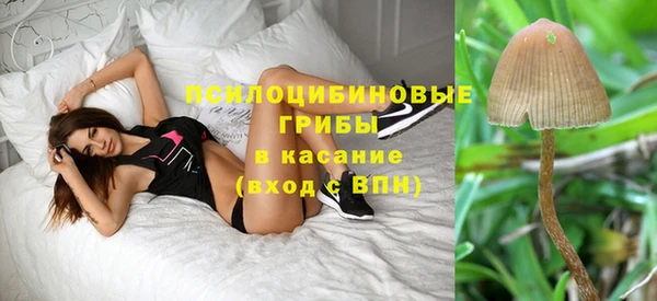 каннабис Аркадак