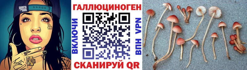 даркнет сайт MEGA зеркало Псилоцибиновые грибы MAGIC MUSHROOMS Набережные Челны